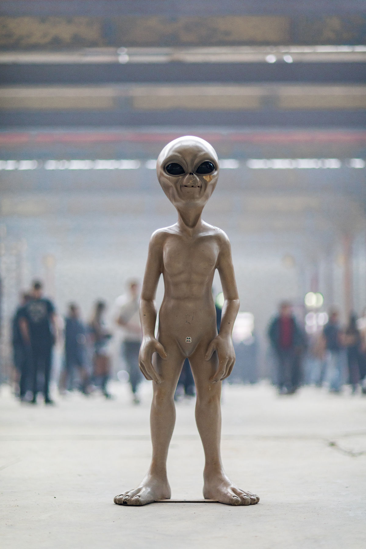 Loading... just a sec